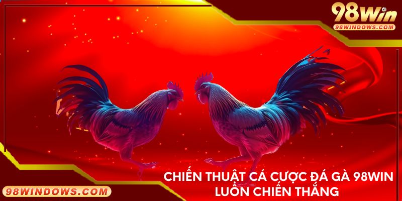 Chiến thuật cá cược đá gà 98Win luôn chiến thắng 