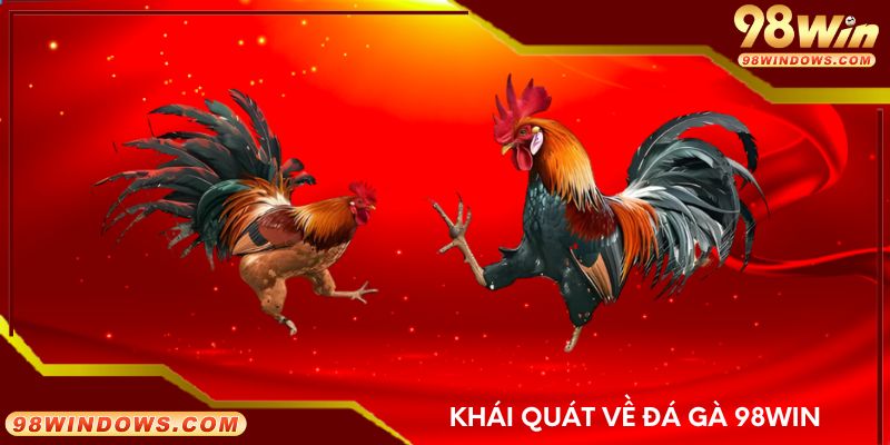 Khái quát về đá gà 98Win