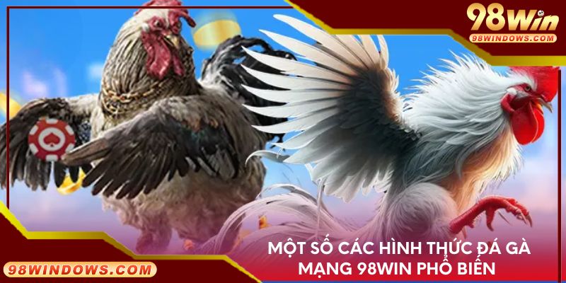 Một số các hình thức đá gà mạng 98Win phổ biến 