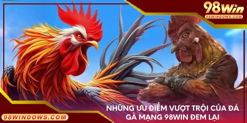 Những ưu điểm vượt trội của đá gà mạng 98Win đem lại