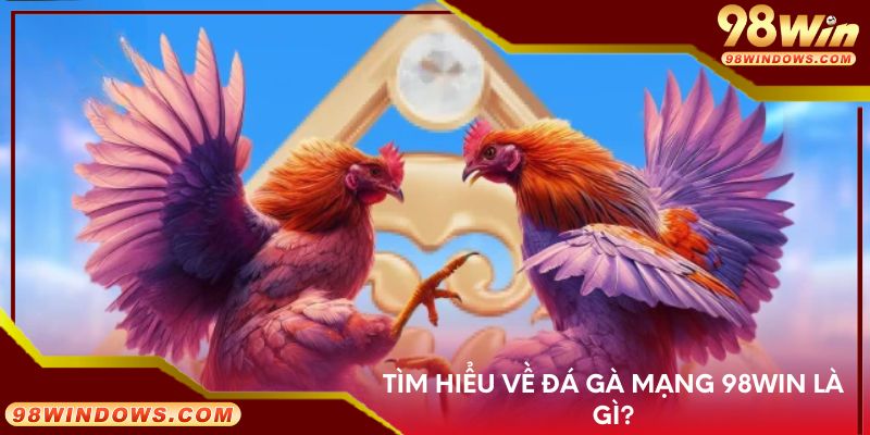 Tìm hiểu về đá gà mạng 98Win là gì?